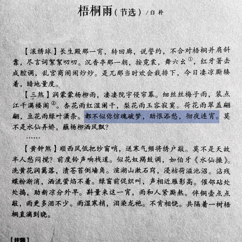 梧桐雨网络