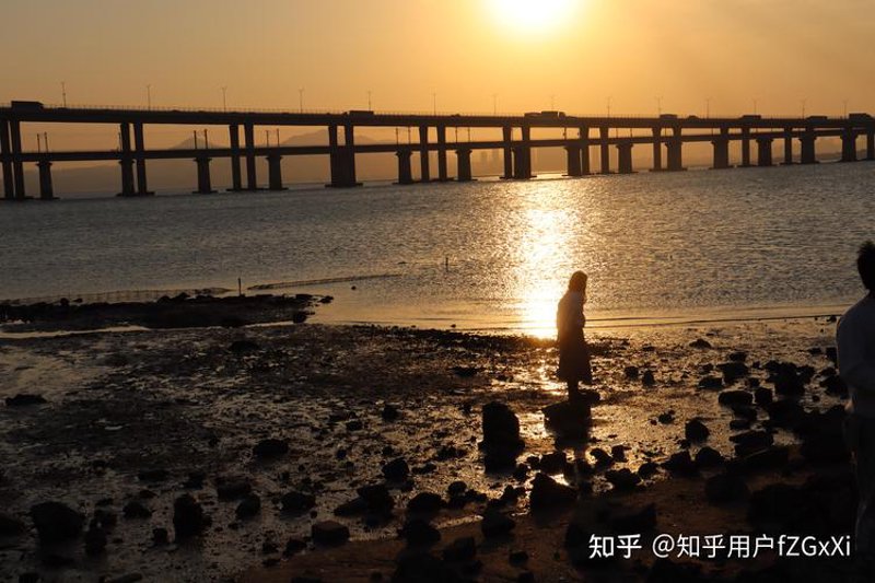玩转数字世界：502玩带你探索无限可能